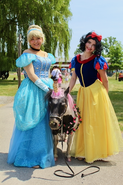 Unicorn Horse with kids